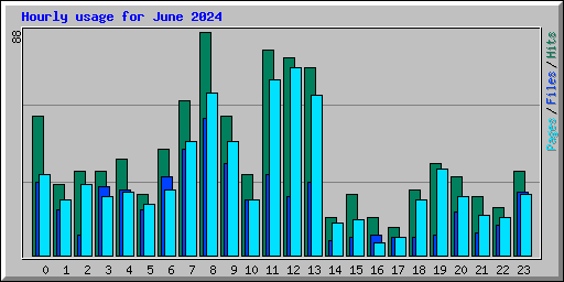 Hourly usage for June 2024