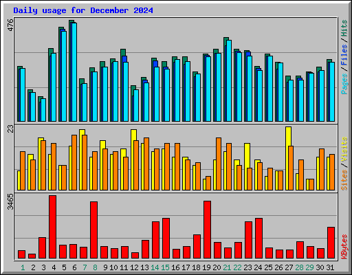 Daily usage for December 2024