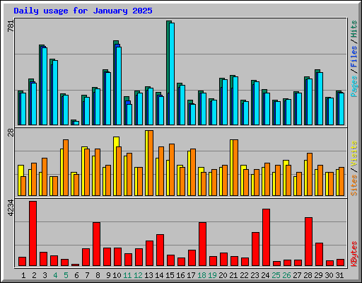 Daily usage for January 2025