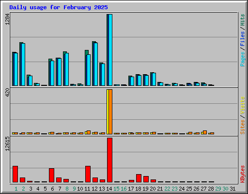 Daily usage for February 2025