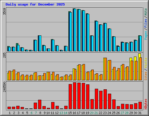 Daily usage for December 2025