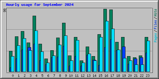 Hourly usage for September 2024