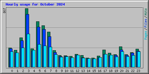Hourly usage for October 2024