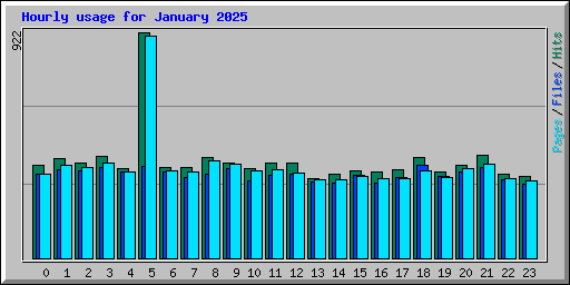 Hourly usage for January 2025