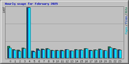Hourly usage for February 2025