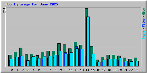Hourly usage for June 2025
