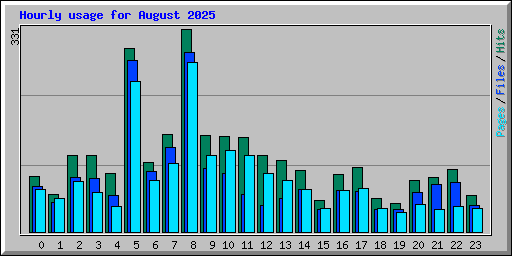 Hourly usage for August 2025