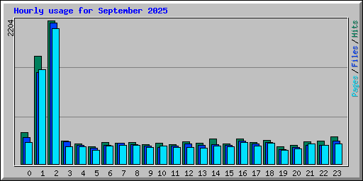 Hourly usage for September 2025