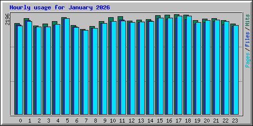 Hourly usage for January 2026