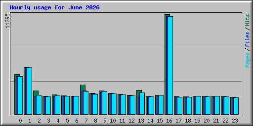 Hourly usage for June 2026